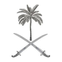 Saudi Culture Themes